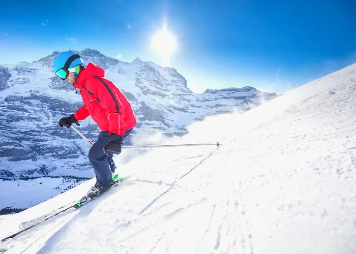 Verbena-3 By Interhome